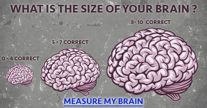 brain-size-does-matter