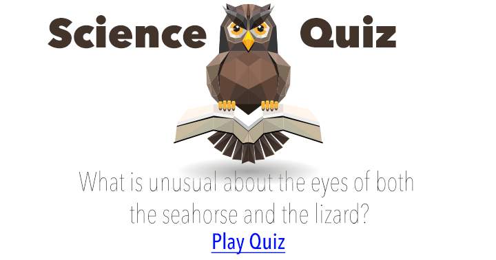 Banner for Science Quiz : Very Hard