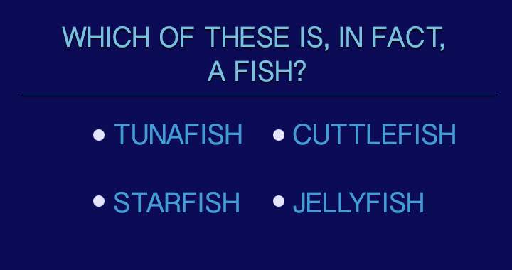 Banner for A quiz about Fish! 