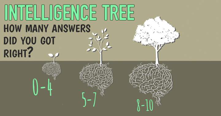 Banner for Take the General Knowledge Quiz to measure the vastness of your intelligence.