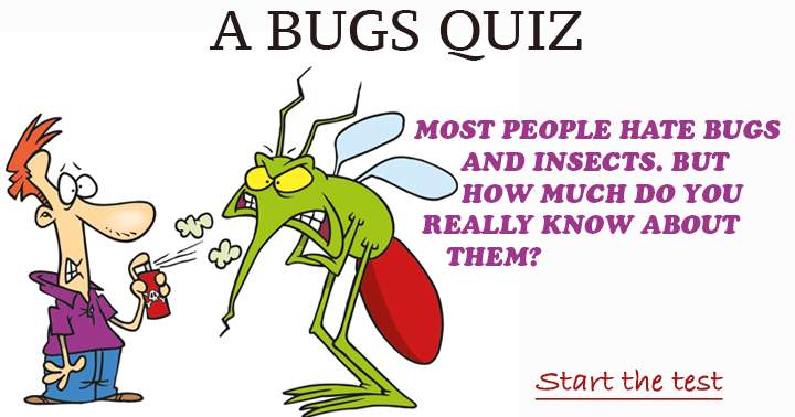 Banner for However, how much knowledge do you truly possess about bugs and insects, considering that most individuals despise them?