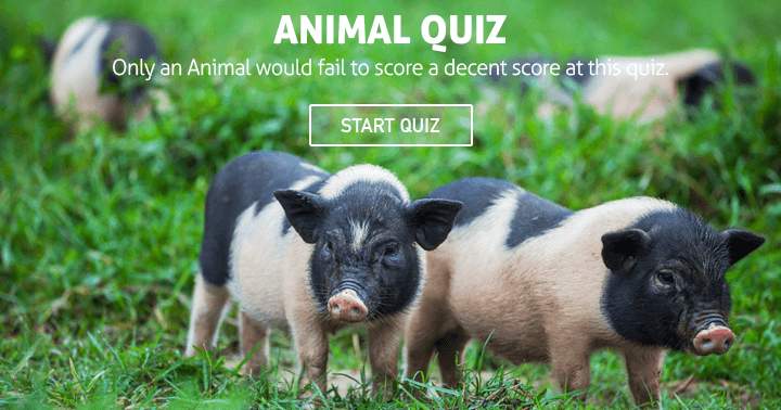 Banner for Failing to score a decent score at this animal quiz is something only an Animal would do.