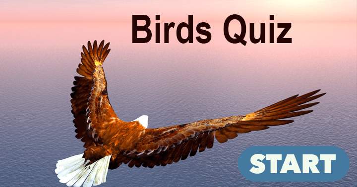 Banner for 'Birds Quiz that Puts Your Knowledge to the Test'