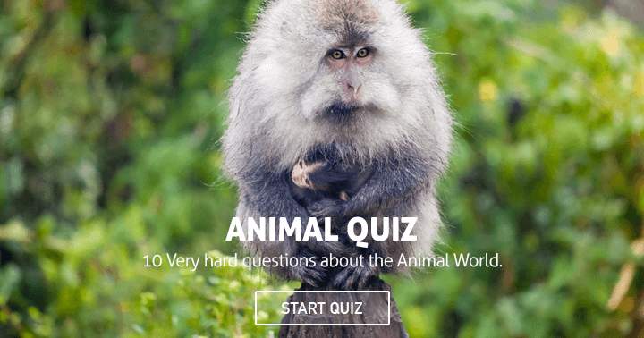 Banner for The animal world presents 10 extremely challenging questions.