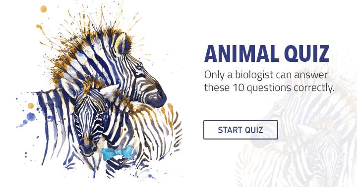 Banner for Can you respond to these 10 challenging questions on The Animal Kingdom?