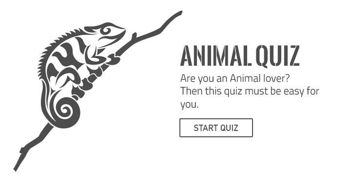 Banner for If you truly adore animals, prove it by tackling this enjoyable yet challenging quiz.