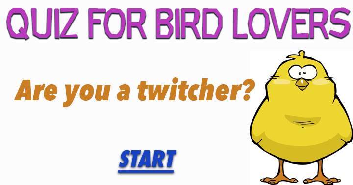 Banner for These questions about birds can only be answered by a twitcher!