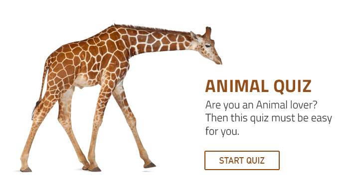 Banner for This quiz will be appreciated by animal enthusiasts.