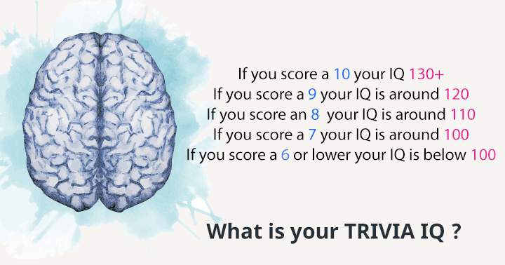 Banner for Now is the time to test your Trivia IQ!