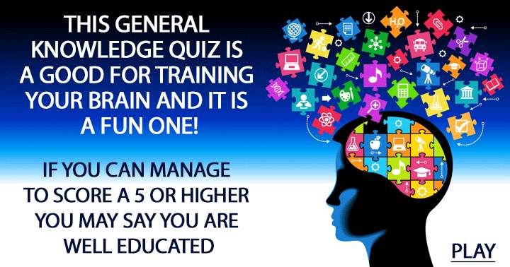 Banner for Test your brain with this entertaining general knowledge quiz!