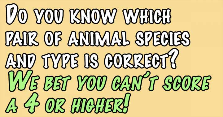 Banner for Quiz on Animals