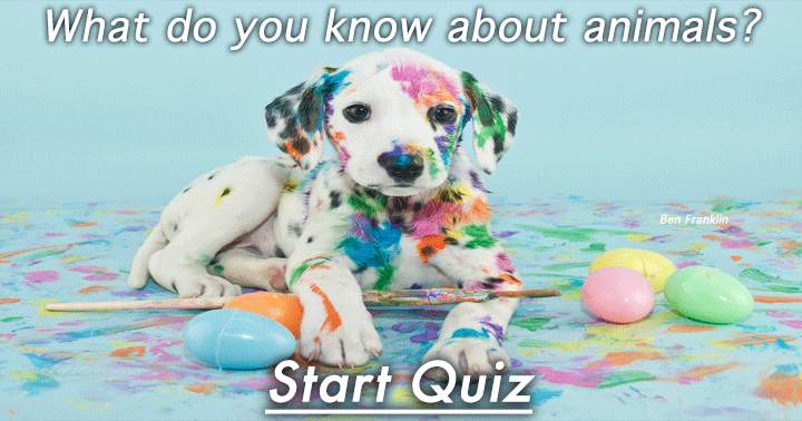 Banner for Quiz on Animals