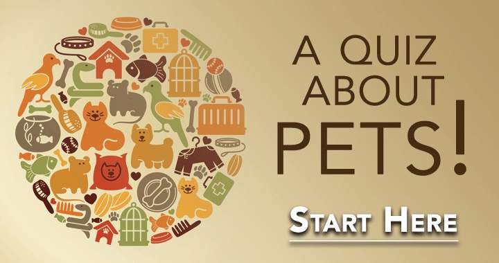 Banner for Test Your Knowledge on Pets!