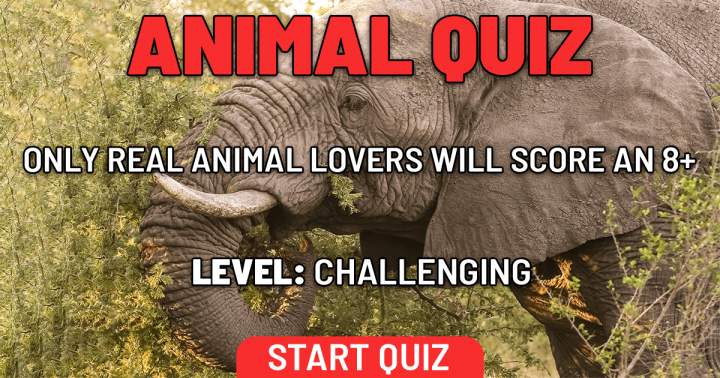 Banner for 10 challenging animal questions that only a zoologist could answer.