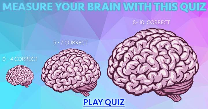 Banner for How Big Is Your Brain?