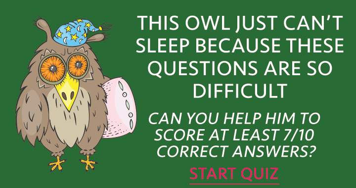 Banner for Can you help this owl?