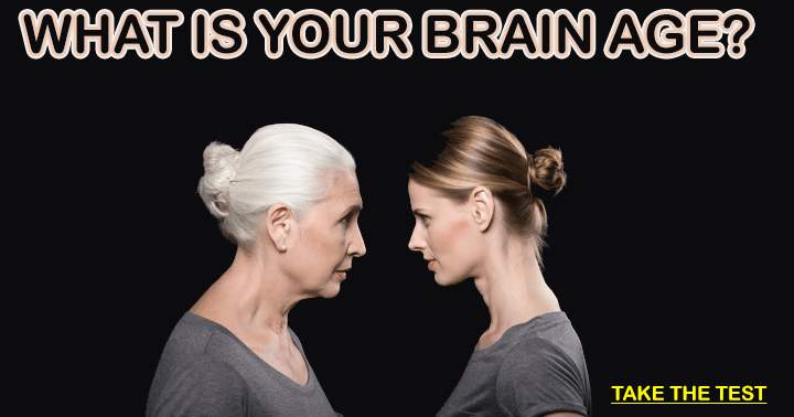 Banner for The older the brain the smarter the person	