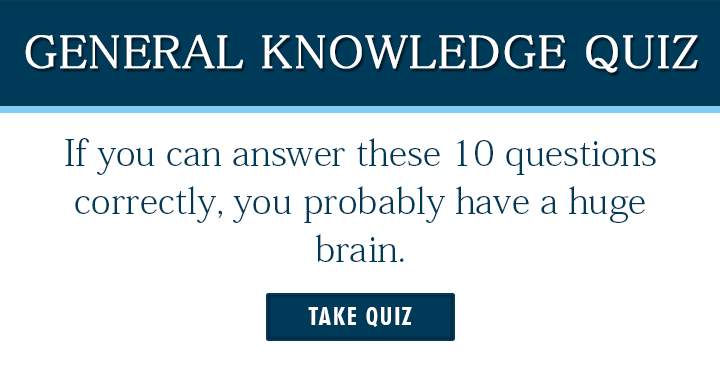 Banner for How big is your brain?