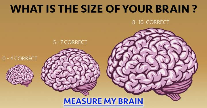 Banner for Take the quiz and measure your brain.