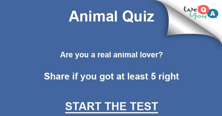 Banner for Are you a real animal lover?  show us how much you know about the.