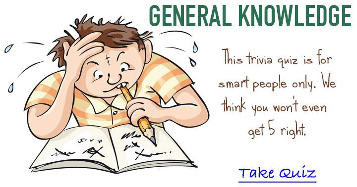 Banner for Fun general knowledge trivia quiz, only for the Brain Box.