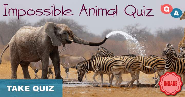 Banner for Can you score a 4/10 on this impossible animal quiz?