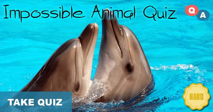 Banner for Can you score a 5/10 or better on this very hard animal quiz?