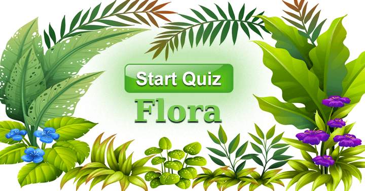 Banner for Everybody loves the beauty of plants, but what do you actually know about them? Take this test to find out.