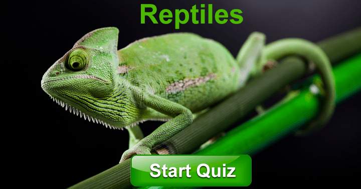 Banner for 10 Questions about Reptiles! Most people can't answer more than 5 correctly