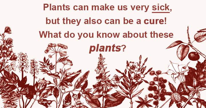 Banner for Plants can make us very sick, but they also can be a cure! What do you know about these plants?