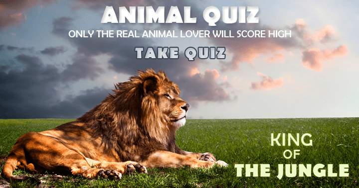 Banner for Animal Quiz. Only the real animal lover will score high.