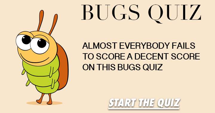 Banner for Bugs, how much do you know about them?