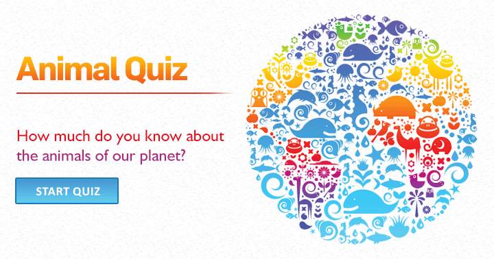 Banner for How much do you know about the animals of our beautiful planet?